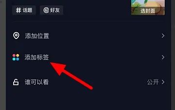 抖音上照片上的標(biāo)簽如何添加？