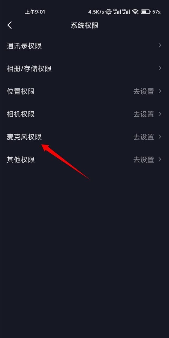 抖音拍視頻怎么打開麥克風(fēng)？