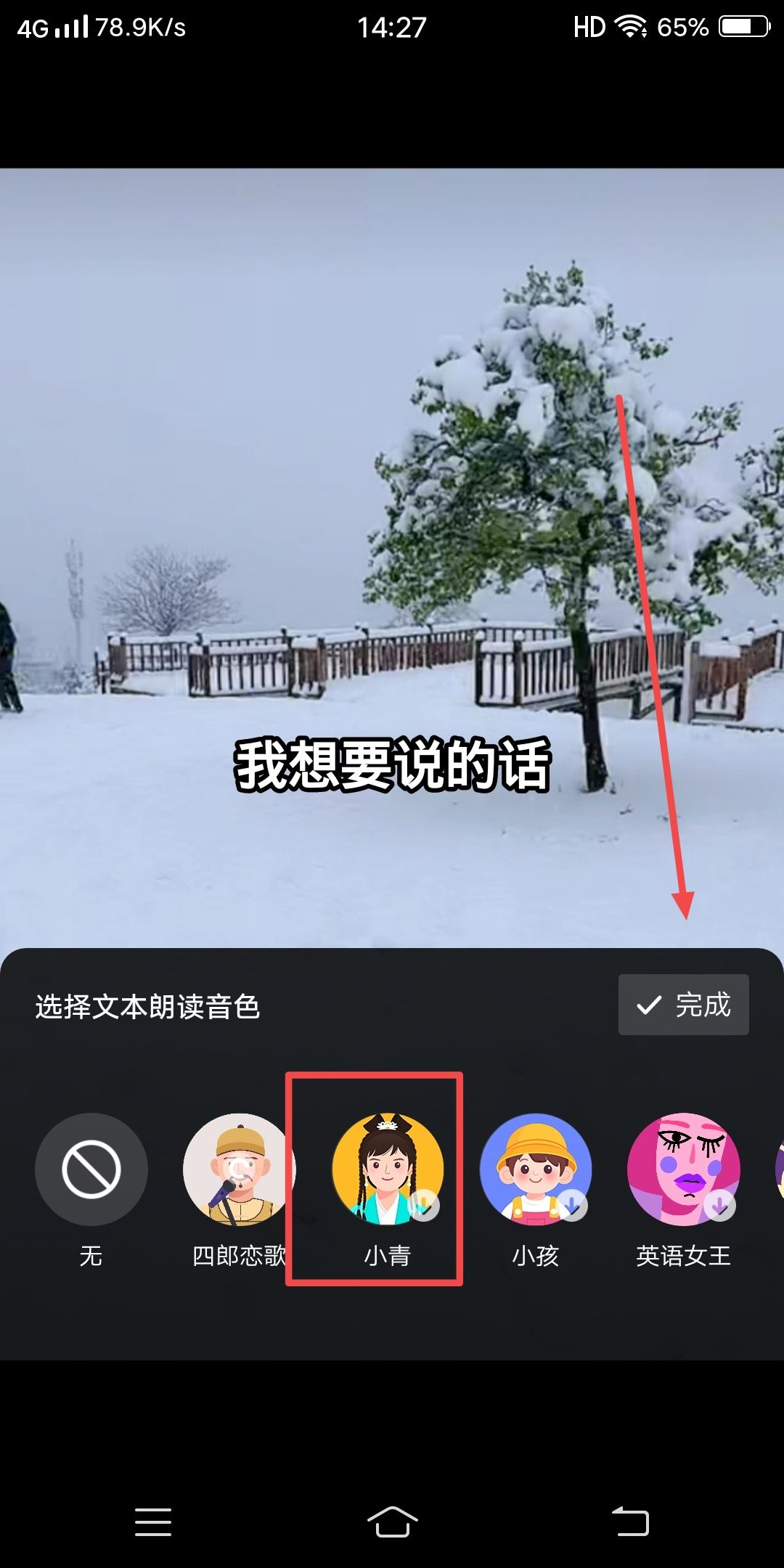 抖音發(fā)視頻怎么配自己想說的話？