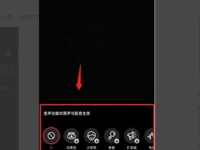 抖音特效的語音怎么弄？